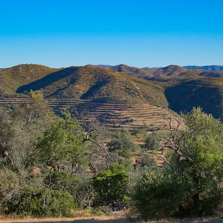 Monte Estrelas