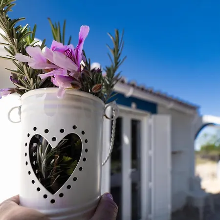 בית חווה Monte Estrelas