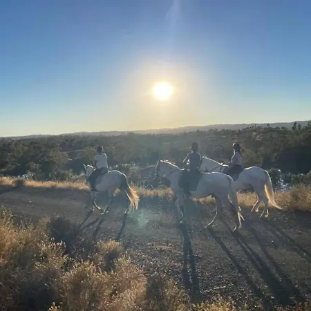 Monte Estrelas مزرعة للإقامة تافيرا