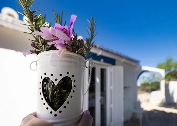 مزرعة للإقامة Monte Estrelas