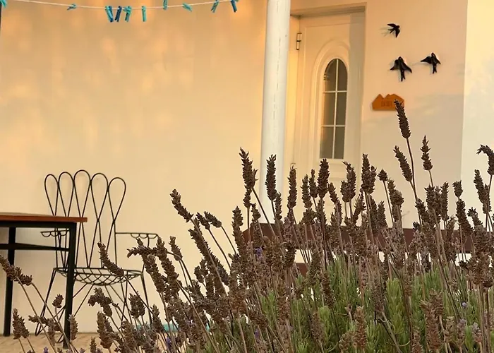 Monte Estrelas مزرعة للإقامة