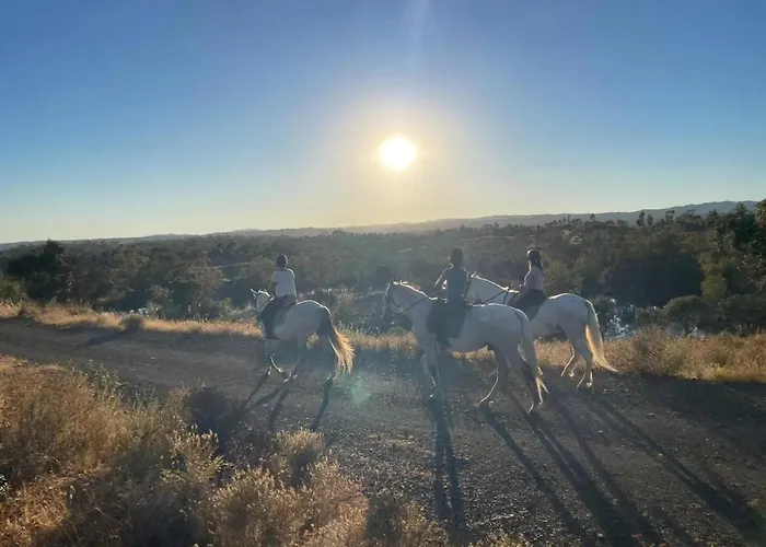 Monte Estrelas مزرعة للإقامة تافيرا